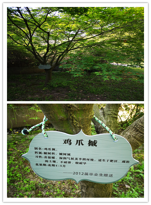 1c4963cb86e8452cbc1dca0146a5b730.Png