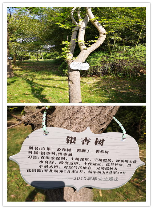 30440ca791994d8eb0b7d54e5cd0a343.Png