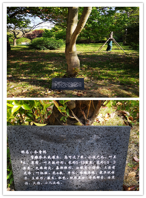 408b2bb209864f7c92d1d3921d612ab6.Png