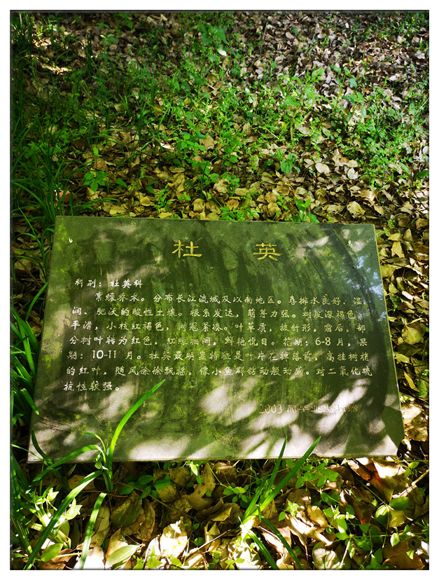 9547dc879f5945b0bdef93295622ed15.Jpeg
