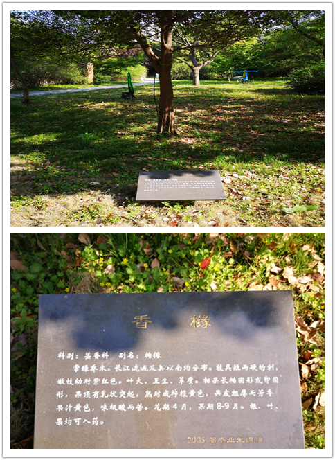 aae94fffb9e84132a37dca3f4138c7ef.Png
