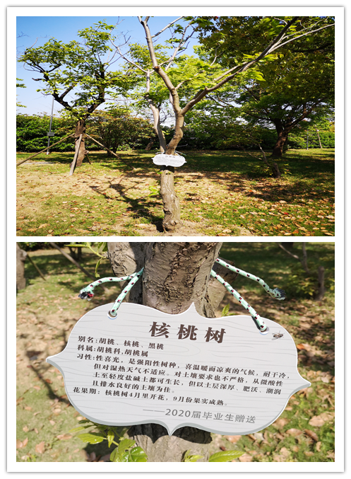 ac39bfe3c83f4e10942d5937fd8bdf58.Png