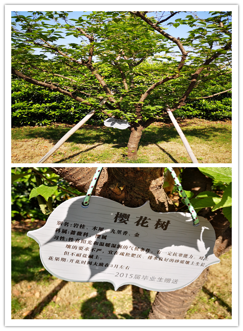 eefbe5fdf0a740f0a317761fd36f73aa.Png