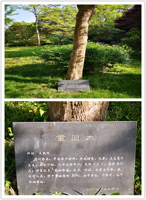 f172e907b909452dac28835c14576c68.Png