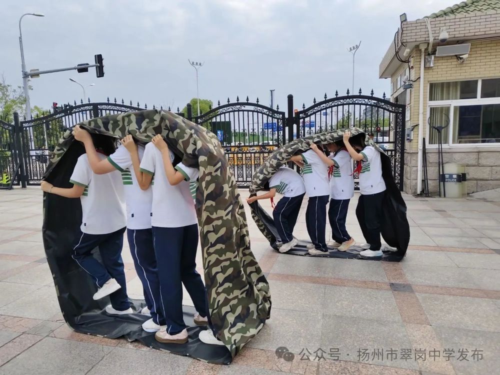 微信图片_20250530090401