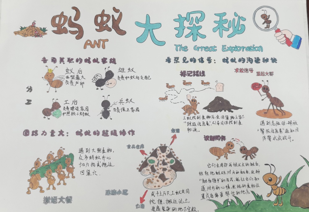 IMG_20250909_174408_edit_113479963032682