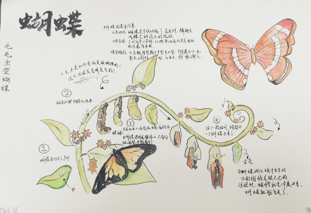 IMG_20250909_174439_edit_113304474463959