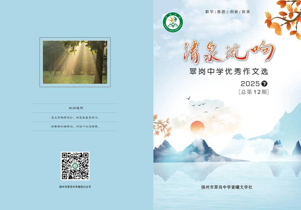 Image_1766585793339_668